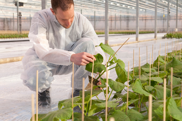 Ontdek de top 3 boeiende tuinbouwvacatures bij Perflexxion!