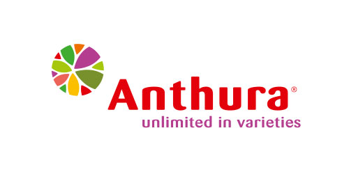 Anthura unlimited in varieties